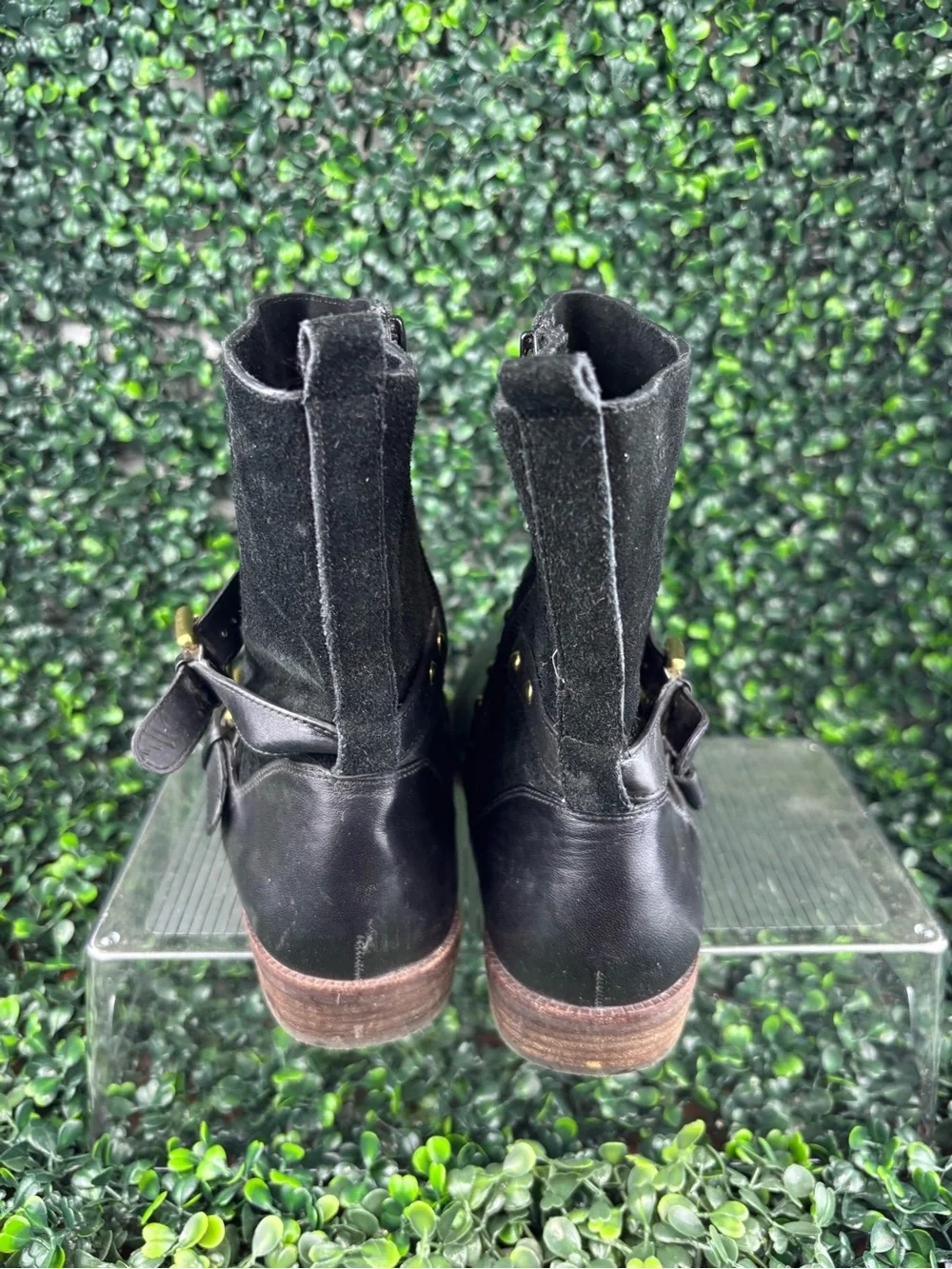 COACH LILIANA LEATHER AND SUEDE WITH GOLD STUD Ankle Boots in Black SIZE 7 Woman